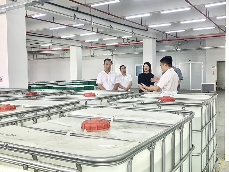 政企连心·共促发展|东莞市东城区政府领导莅临龙八long8玩家新材参观指导